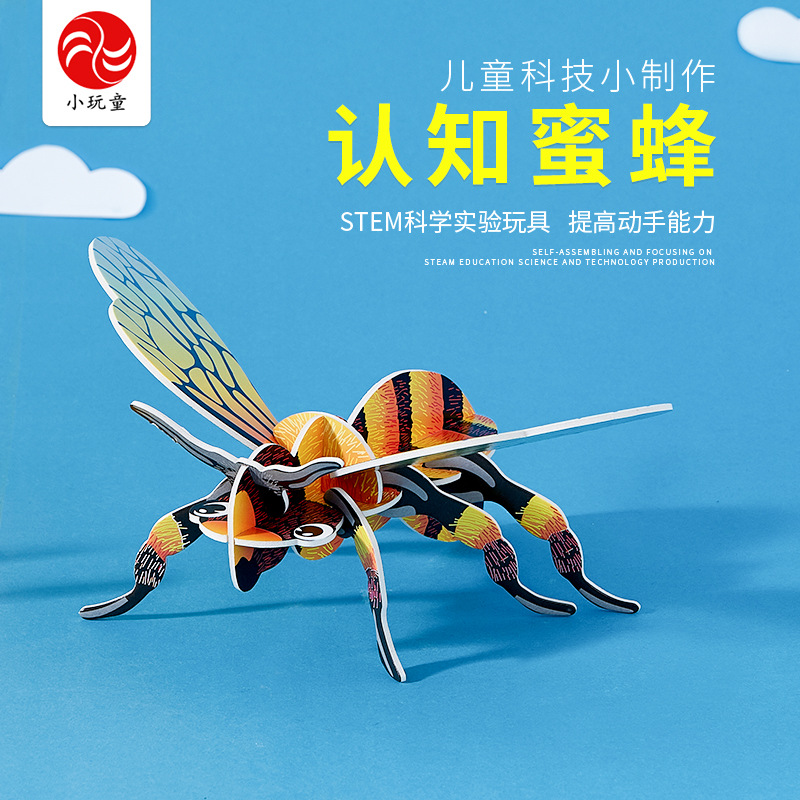 探秘蜜蜂的世界 儿童科学实验玩具手工结合求知趣味