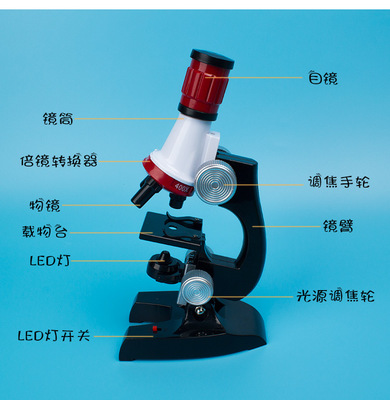 探索微观世界的魔法窗口 生物科学1200倍高清显微镜玩具测评